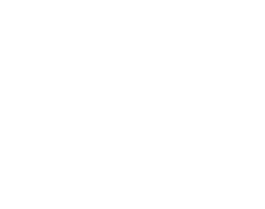 MaxWiz 迈斯威志